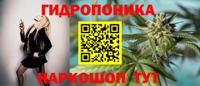 гашик Малоярославец